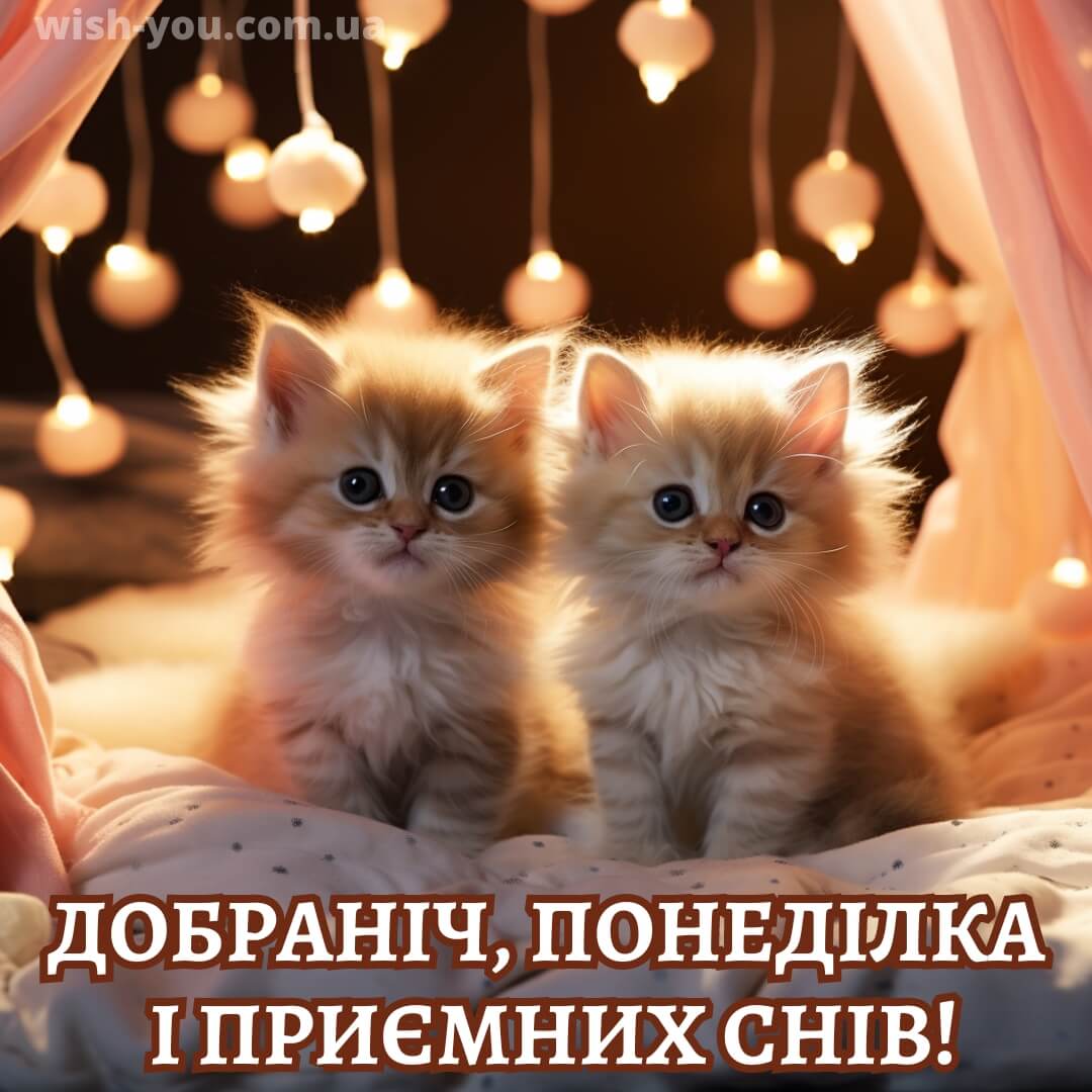Нова картинка доброї ночі понеділка 19