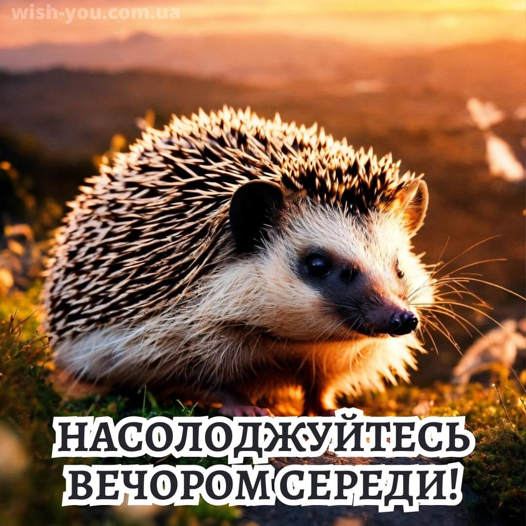 Нова листівка доброї ночі середи 1