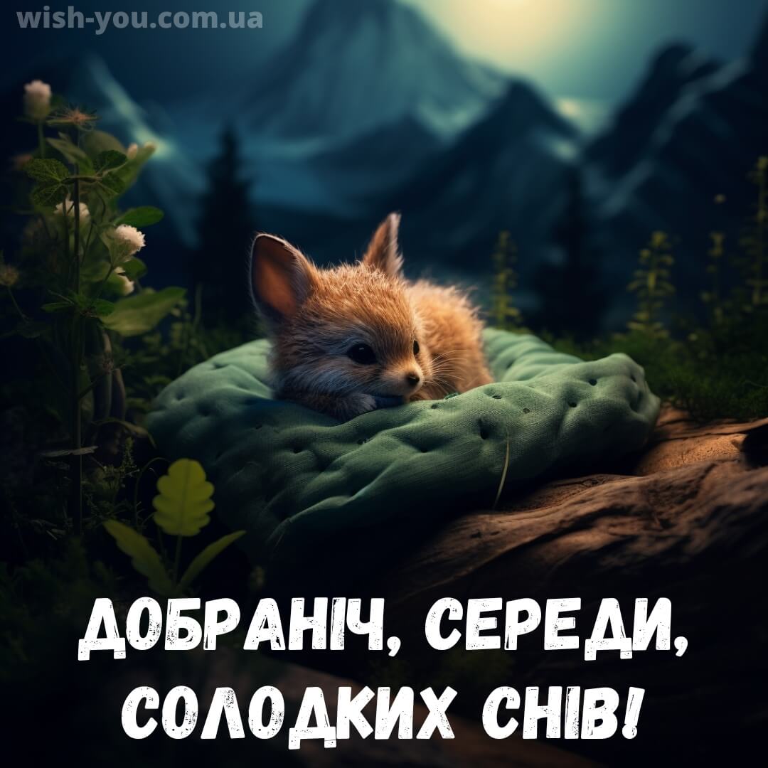 Нова листівка доброї ночі середи 19