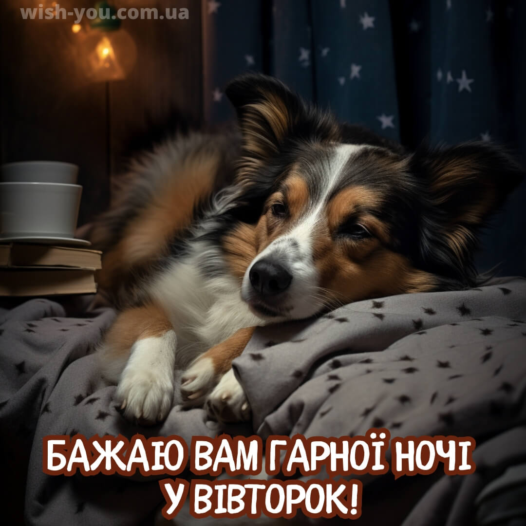 Нова листівка доброї ночі вівторка 12