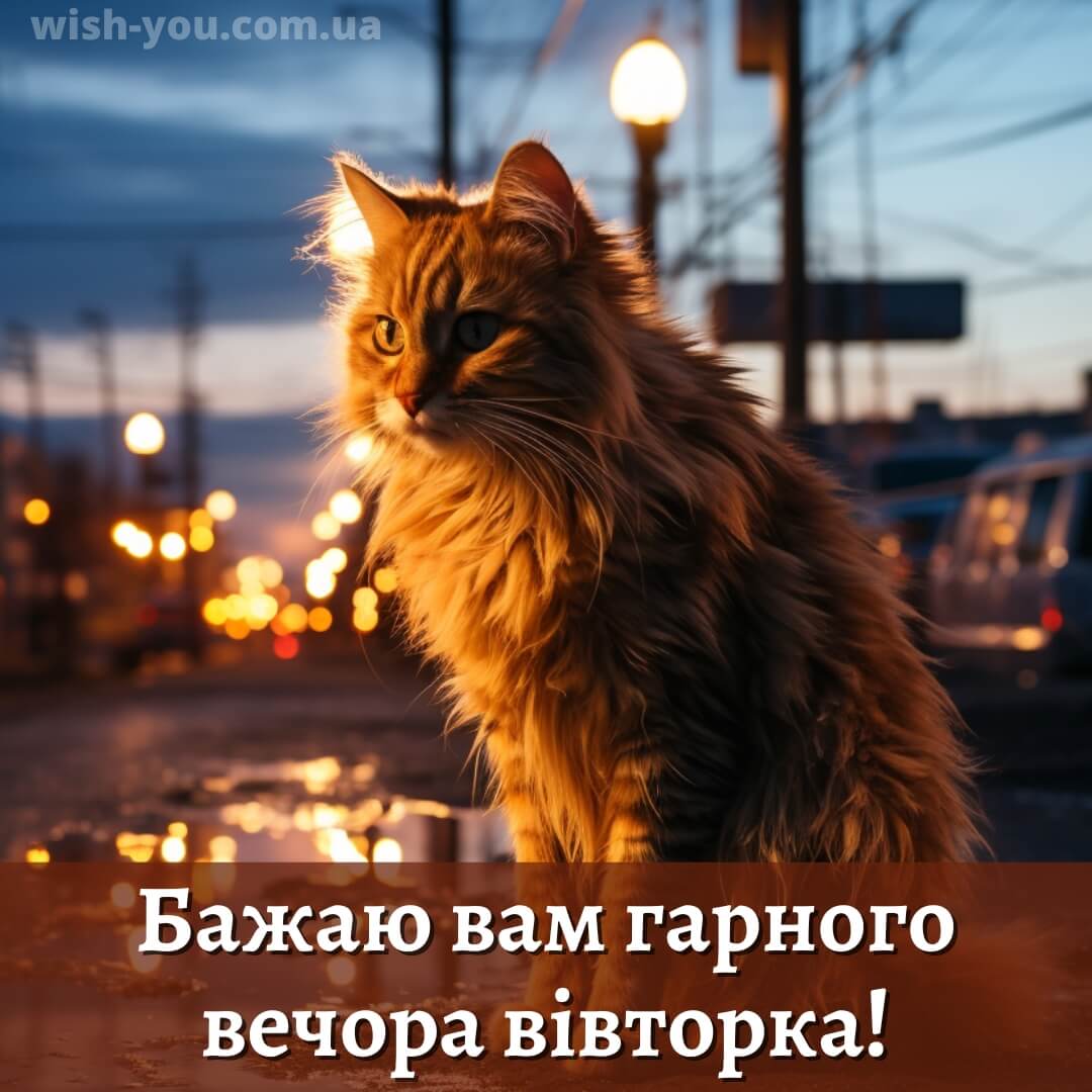 Нова листівка доброї ночі вівторка 2