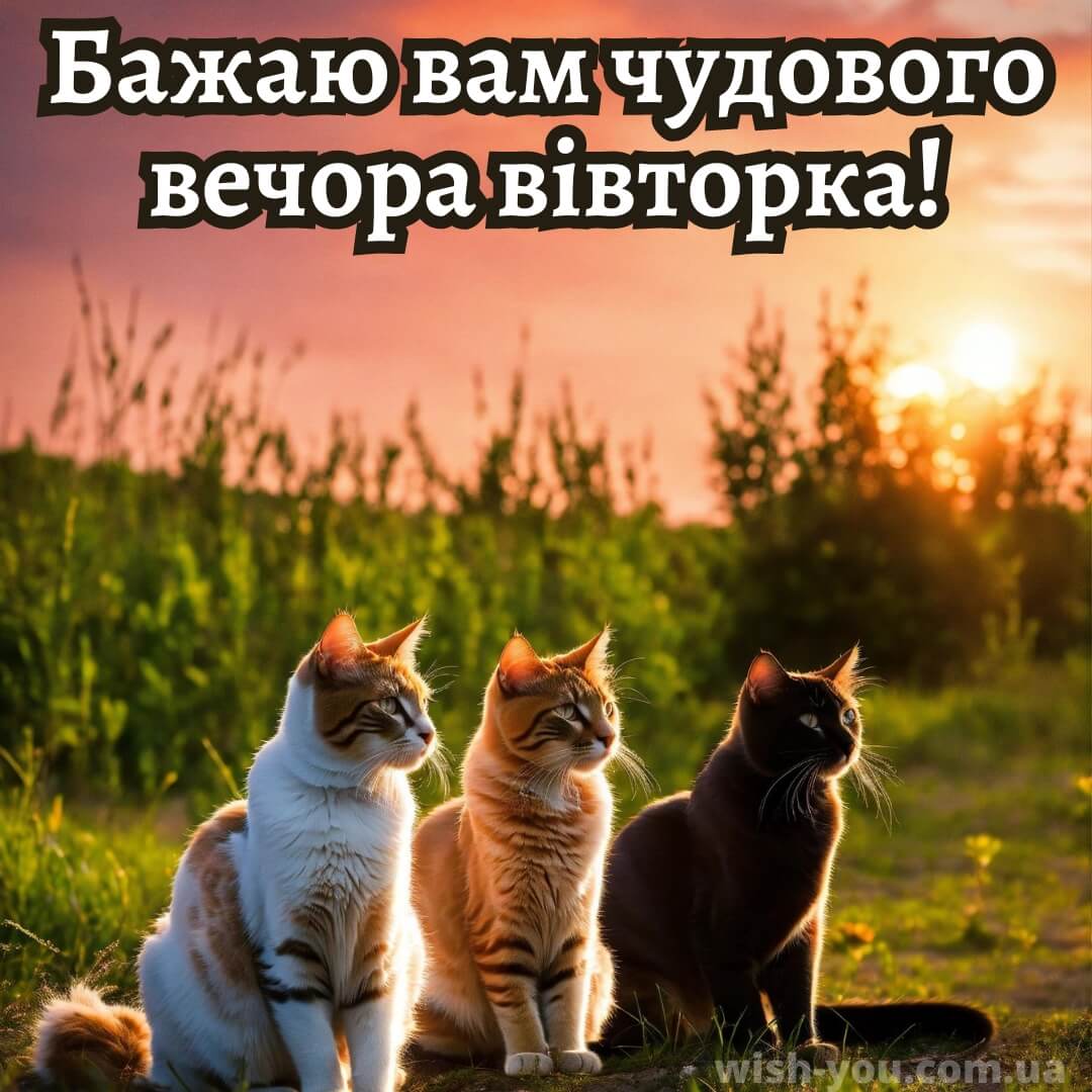 Нова листівка доброї ночі вівторка 4
