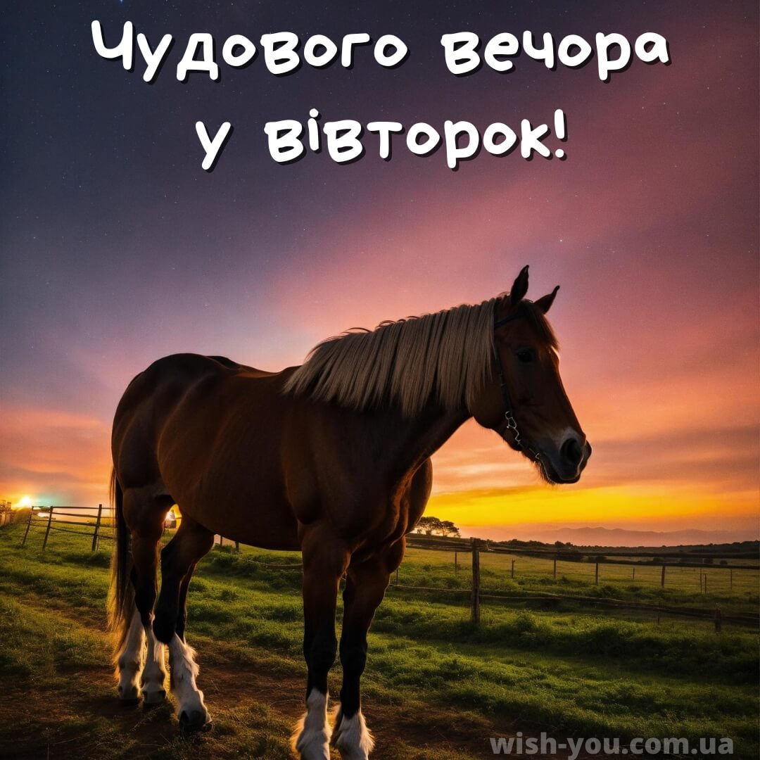 Нова листівка доброї ночі вівторка 9