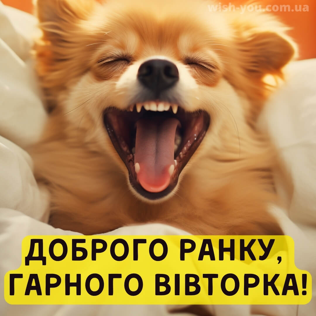 Нова прикольна листівка гарного вівторка 1
