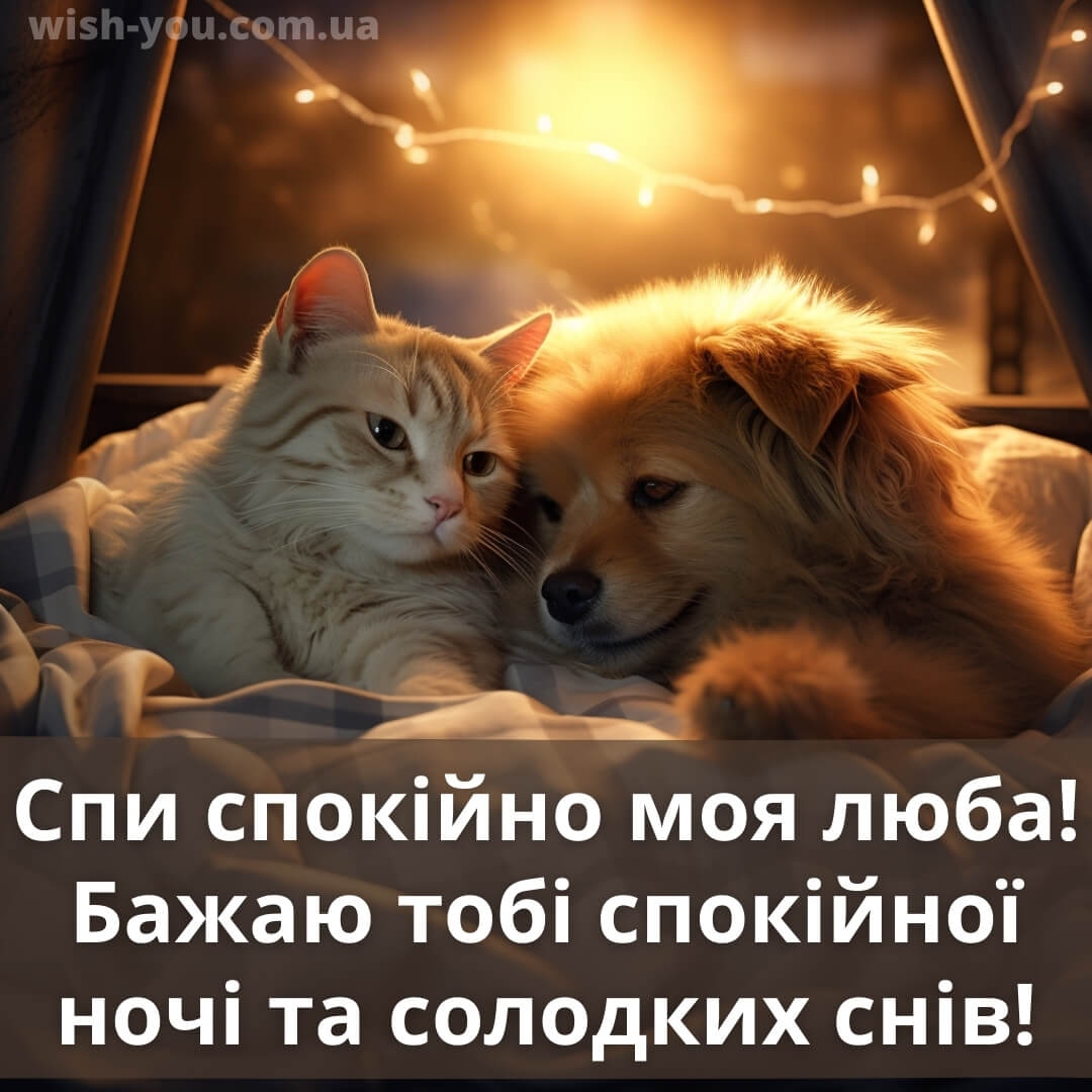 Нове романтичне побажання на добраніч коханій людині 1