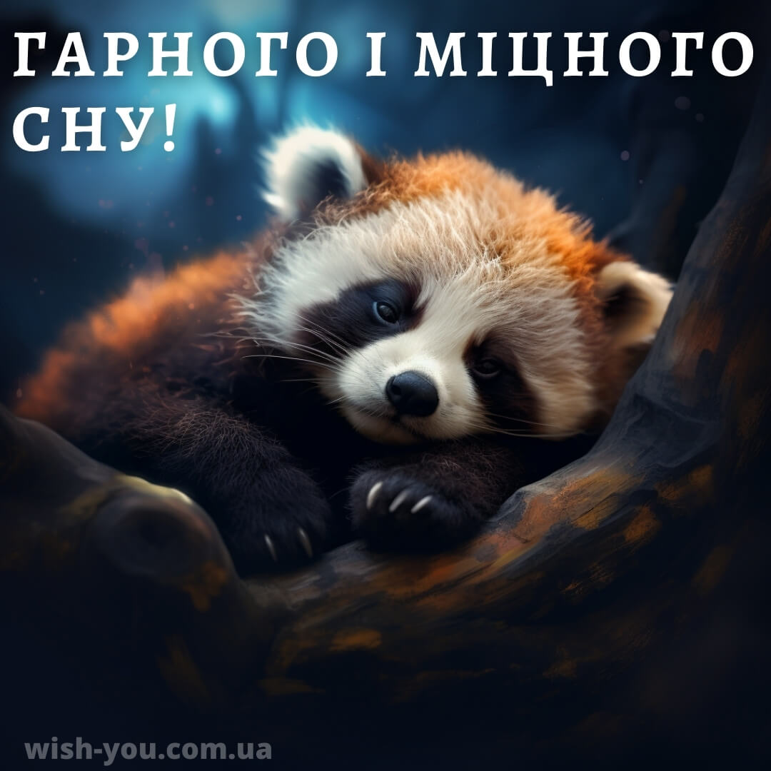 Нове романтичне побажання на добраніч коханій людині 2
