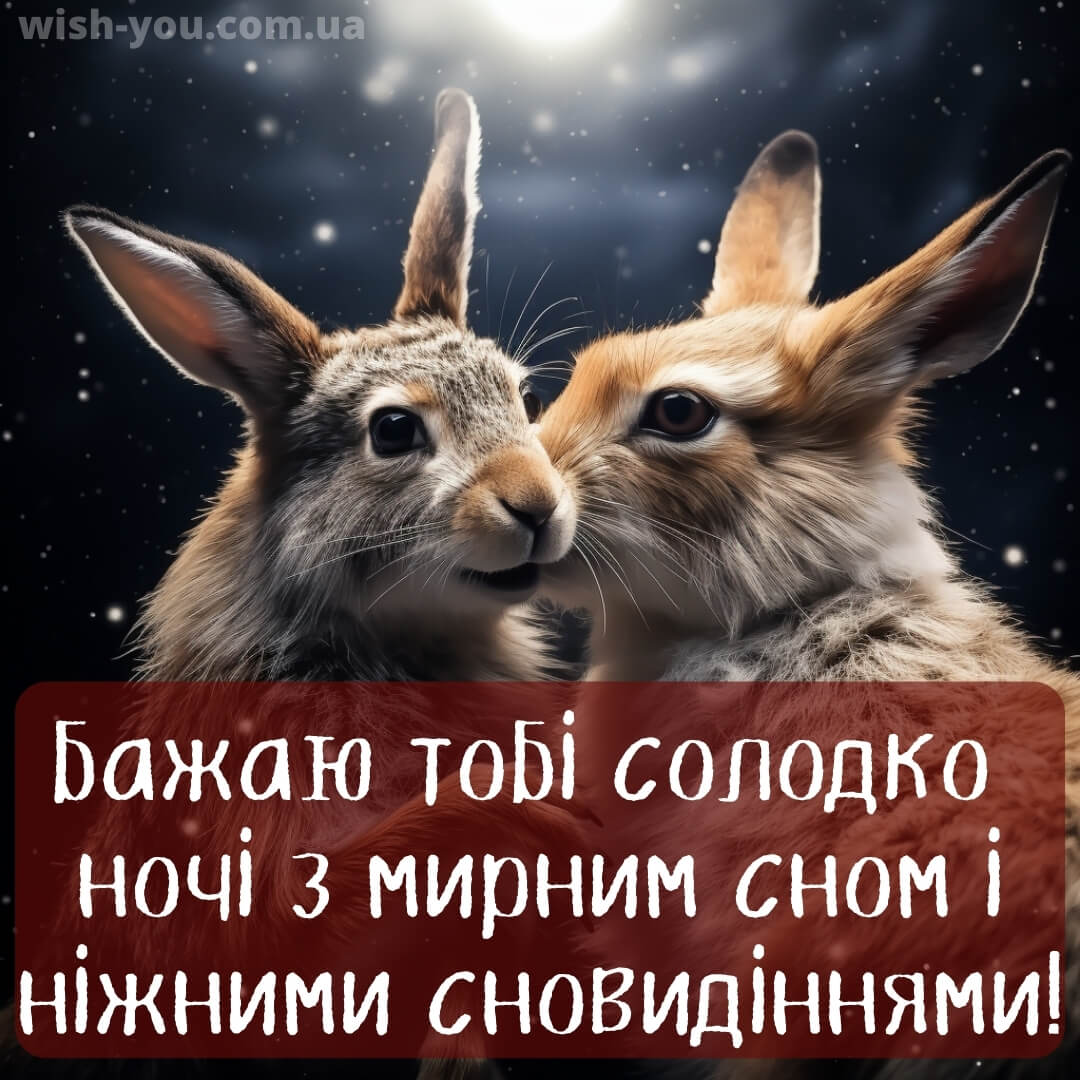 Нове романтичне побажання на добраніч коханій людині 5