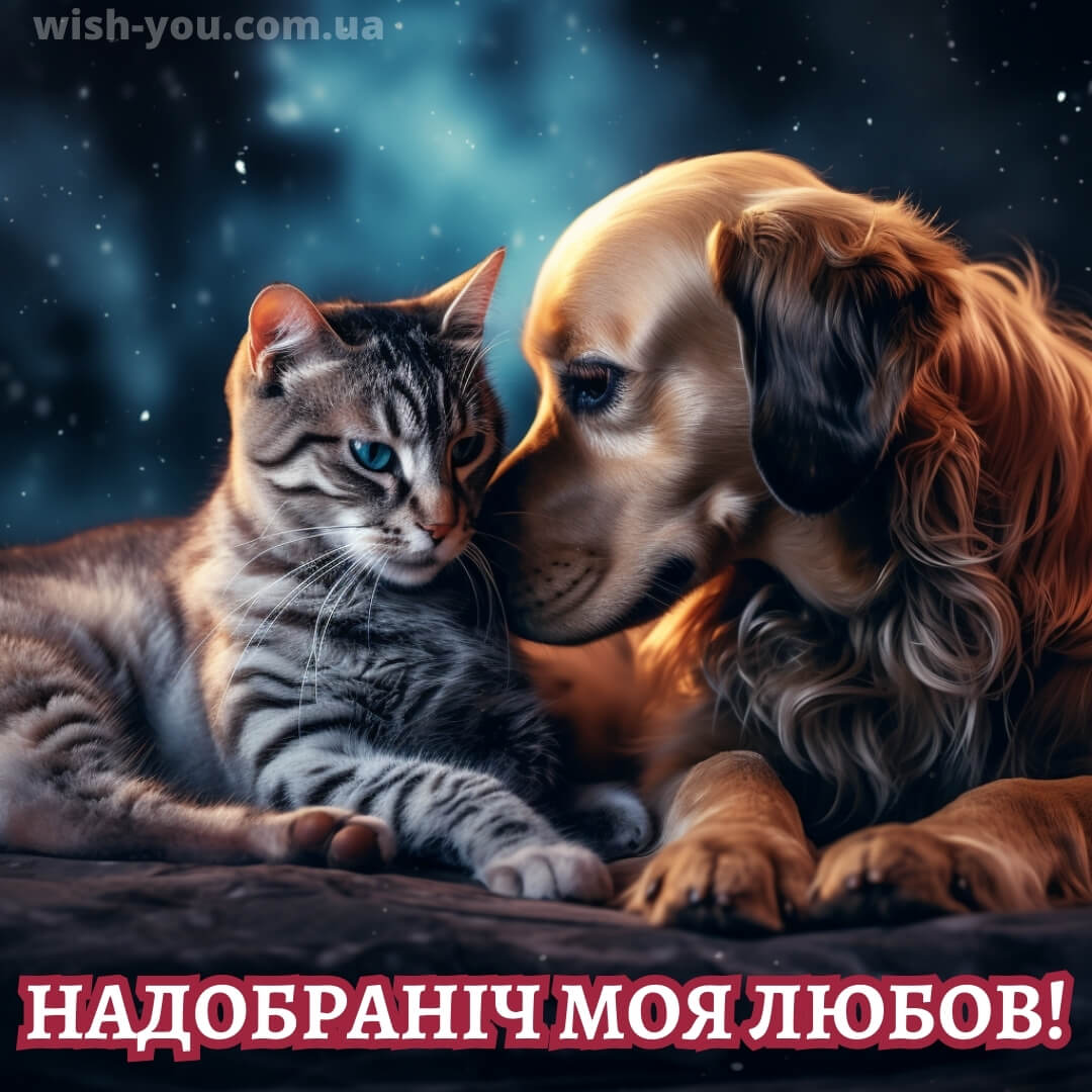 Нове романтичне побажання на добраніч коханій людині 9