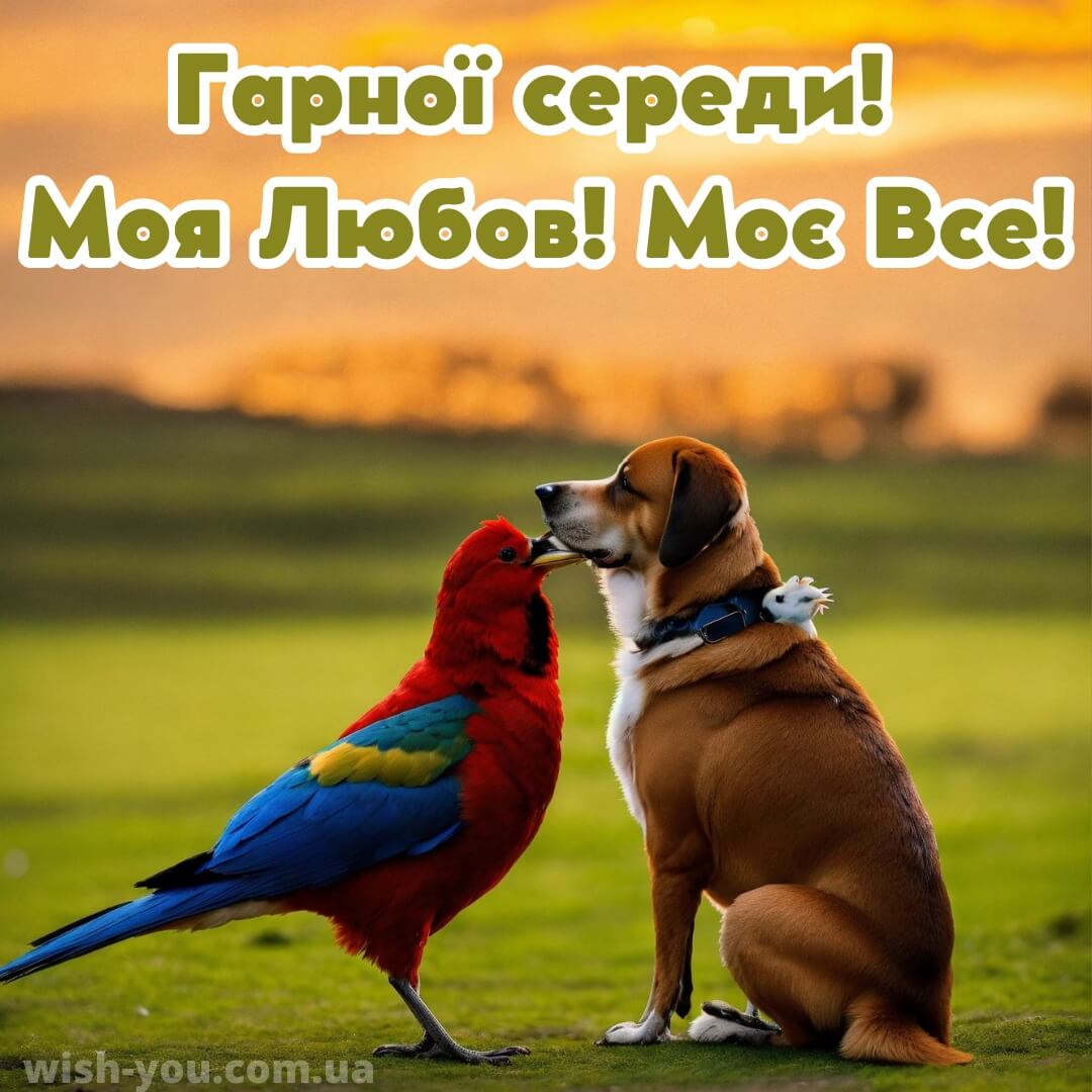 Нова романтична листівка з середою 8