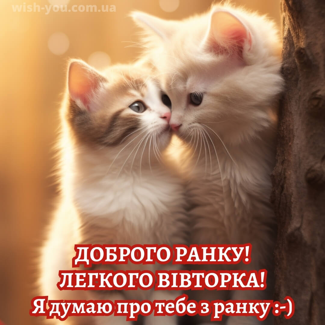 Нова романтична листівка з вівторком 9