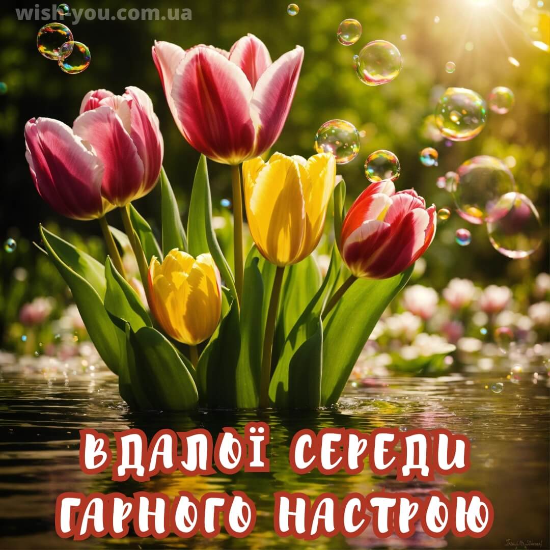 Нова листівка з квітами на середу 6