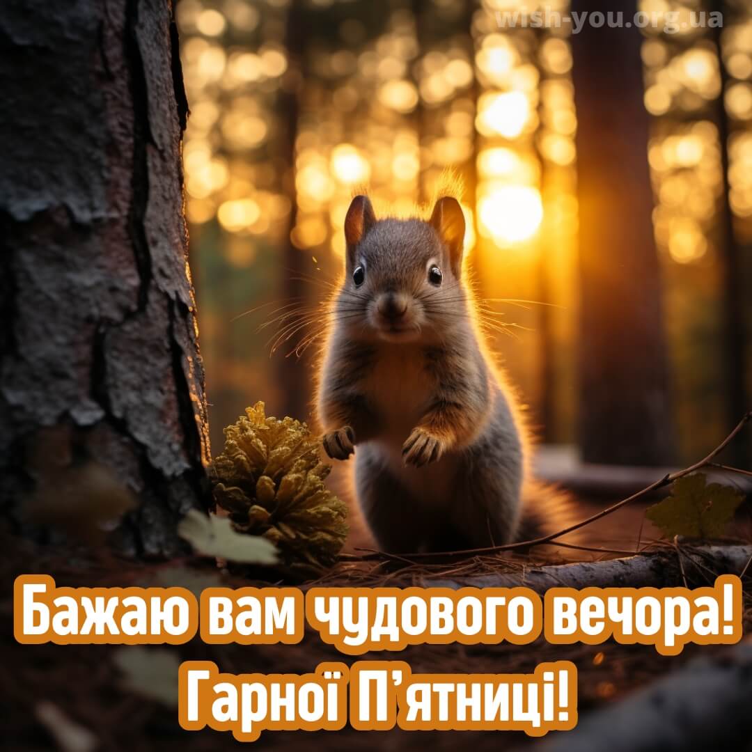 Нова листівка доброго вечора п'ятниці 11