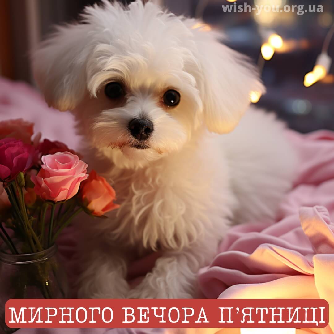 Нова листівка доброго вечора п'ятниці 4