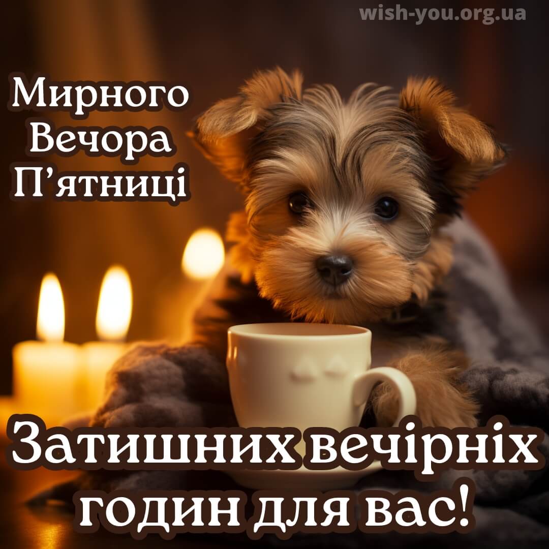 Нова листівка доброго вечора п'ятниці 9